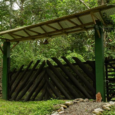 Smile Jungle Hostel Puerto Viejo de Talamanca Екстериор снимка